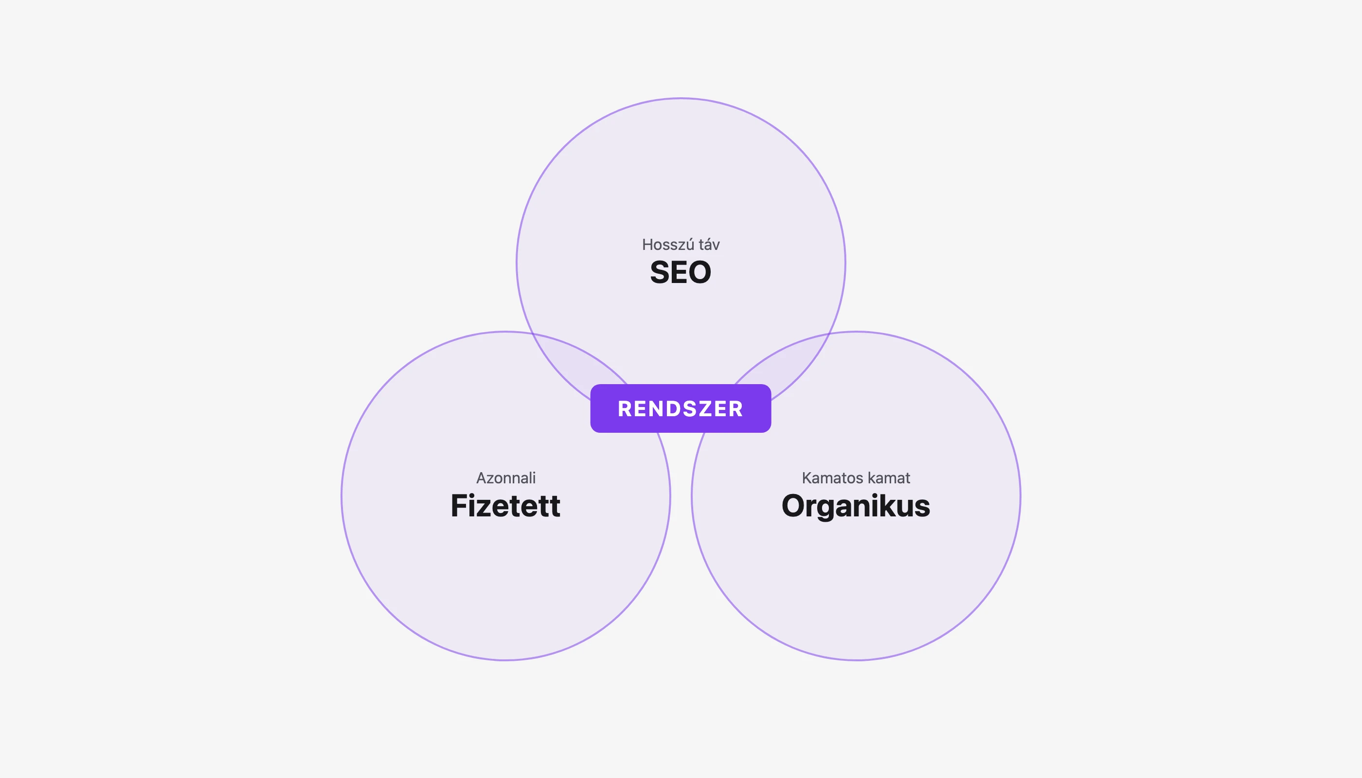 Forgalomszerzés: SEO, Fizetett, Organikus